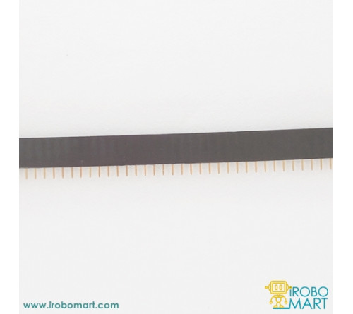 Female Header - Single Inline Package (SIP) 40 Pin