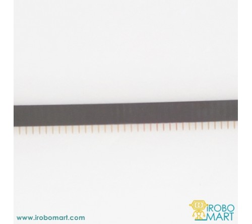Female Header - Single Inline Package (SIP) 40 Pin