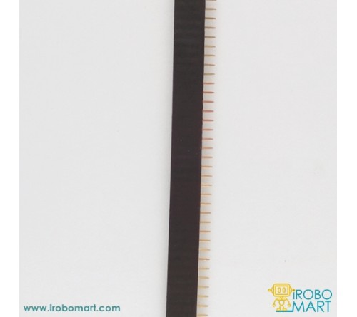 Female Header - Single Inline Package (SIP) 40 Pin