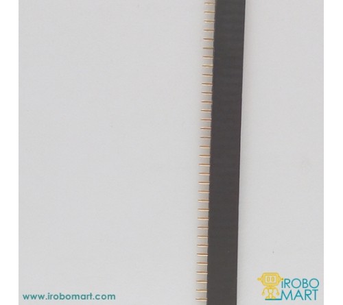 Female Header - Single Inline Package (SIP) 40 Pin